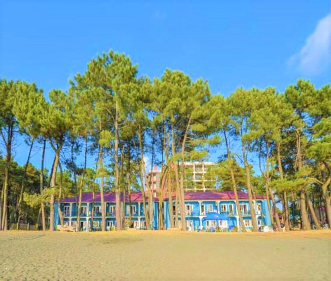 Evrika Hotel Shekvetili Exterior foto